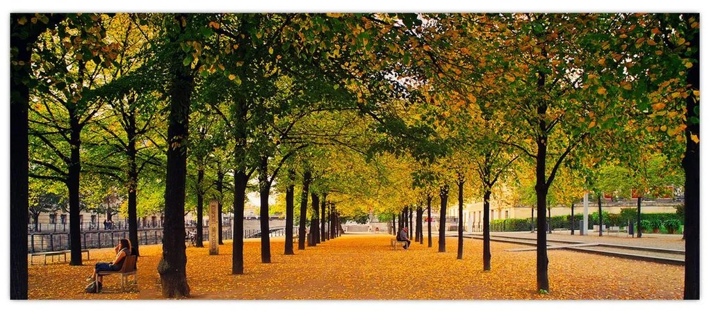 Tablou cu alee cu copaci în toamnă (120x50 cm)