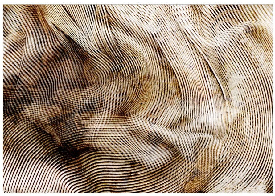 Fototapet - Abstract Interlaced - Curbe și Dungi Bej