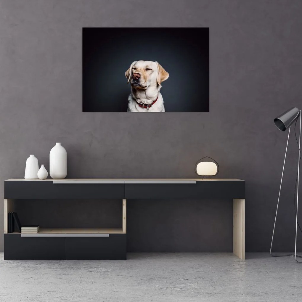 Tablou cu labrador (90x60 cm)