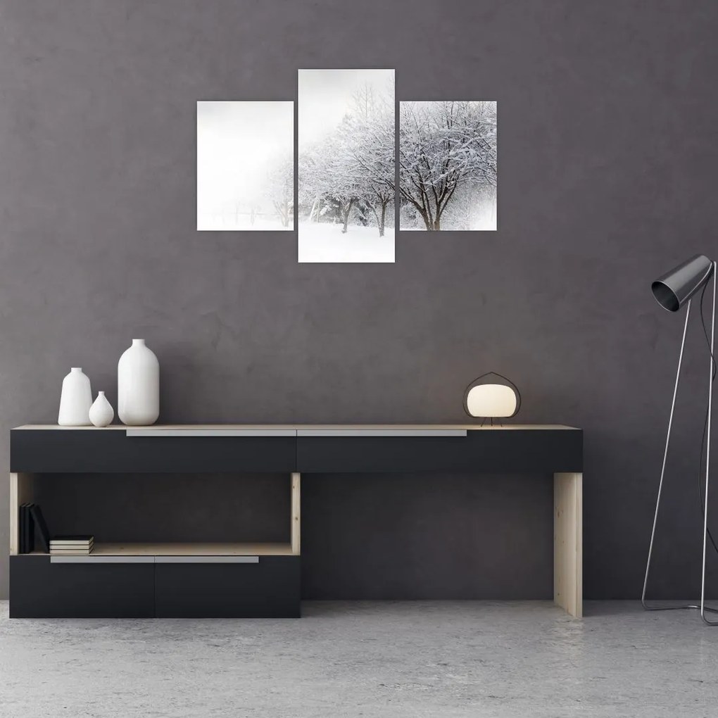 Tablou - Aleea de iarnă (90x60 cm)