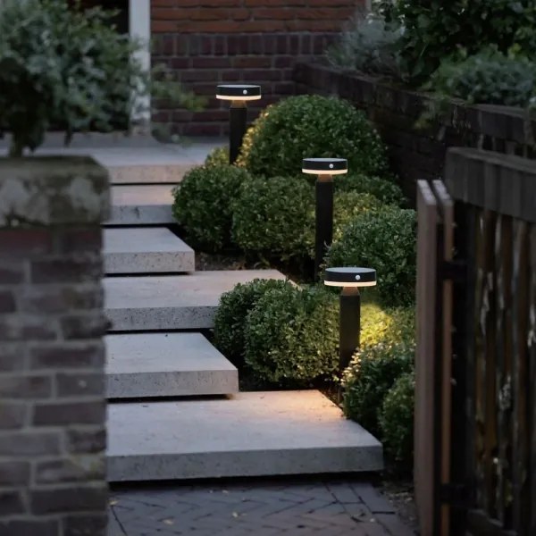 Lampă LED solară Zuma Line PT33613 CARLI LED/4,5W/2000 mAh IP44 negru