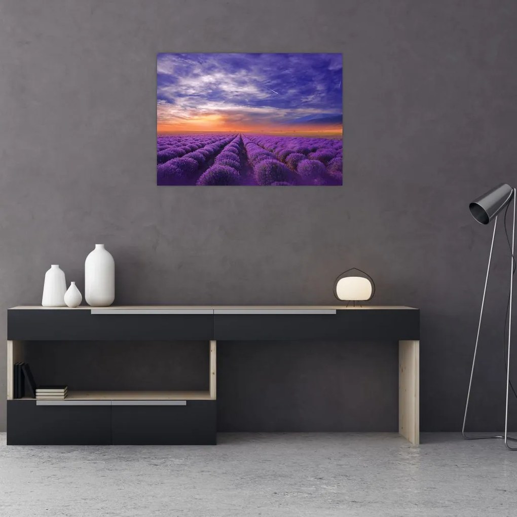 Tablou pe sticlă câmpului cu lavandă (70x50 cm)