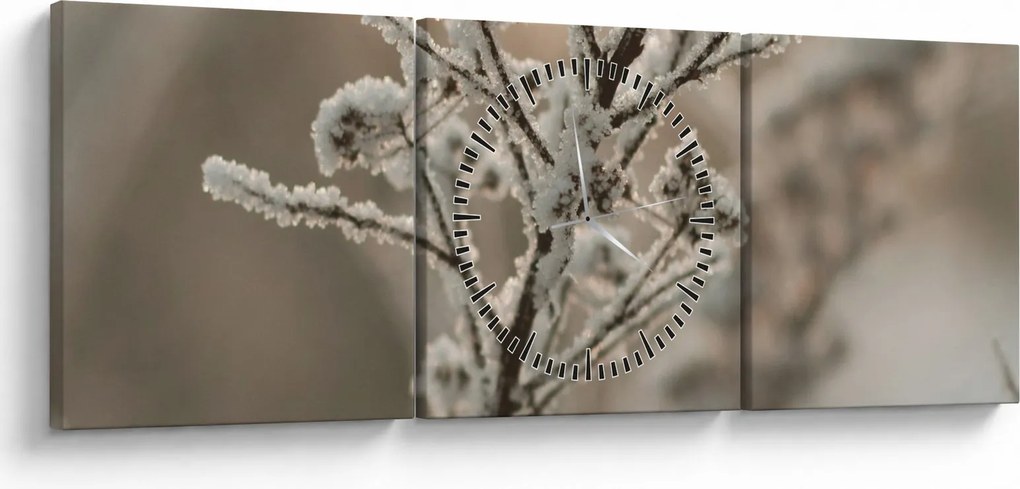 Tablou - Plantează în îngheț (cu ceas) (90x30 cm)