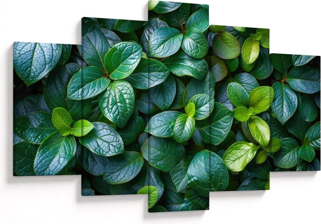 Tablou - Plante verzi (150x105 cm)