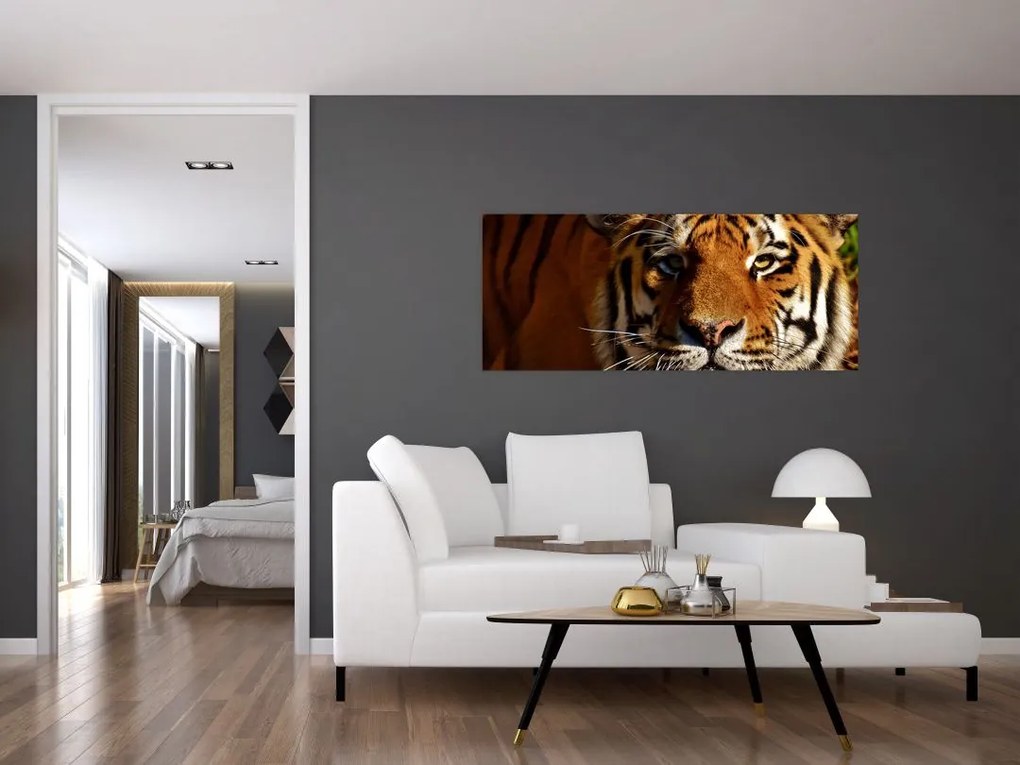 Tablou cu tigrul (120x50 cm)