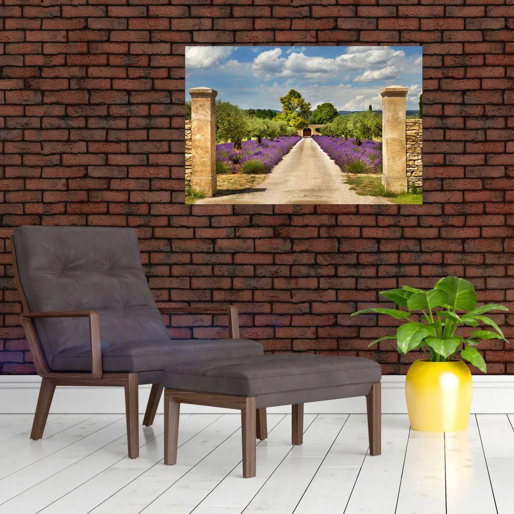 Tablou - Căi de lavandă (90x60 cm)