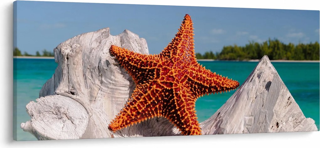 Tablou cu stea de mare (120x50 cm)