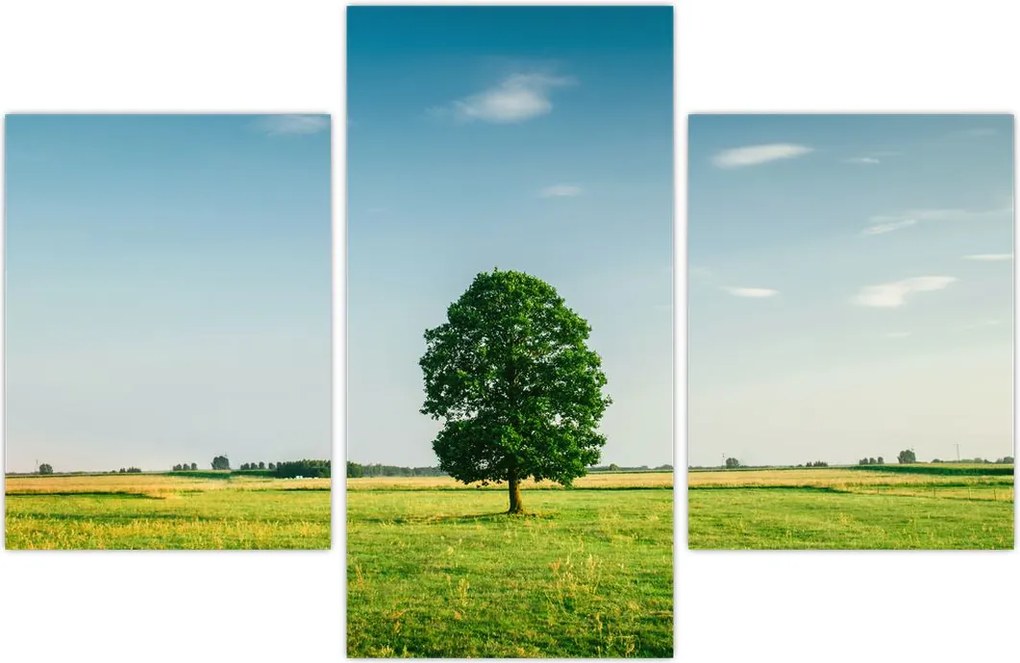Tablu - Copac în luncă (90x60 cm)