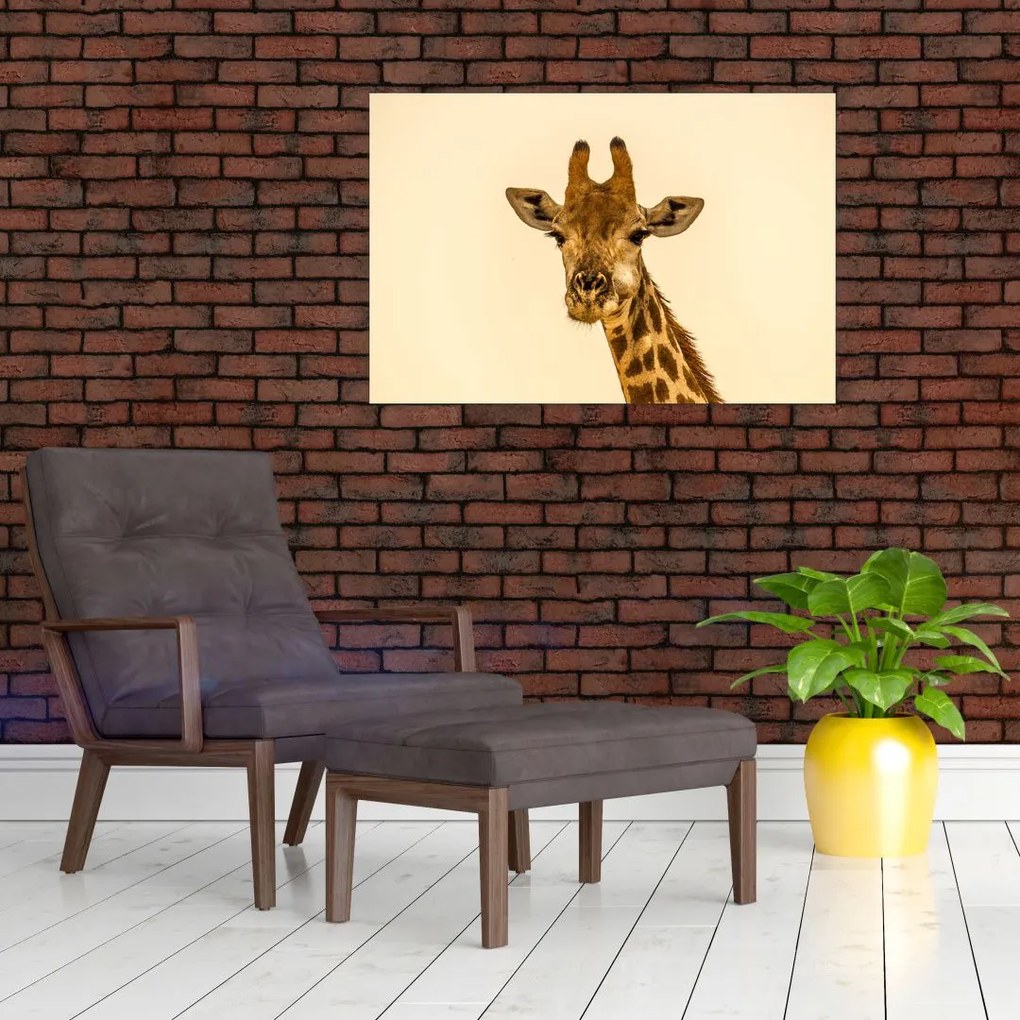 Tablou cu girafe (90x60 cm)