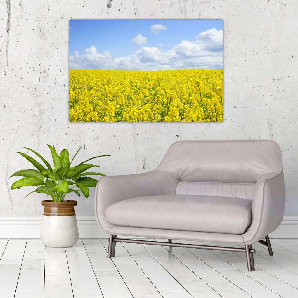 Tablou - Câmp galben (90x60 cm)