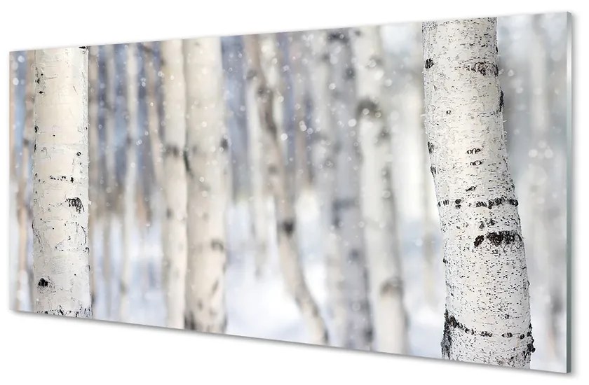 Tablouri acrilice Copaci de zăpadă de iarnă