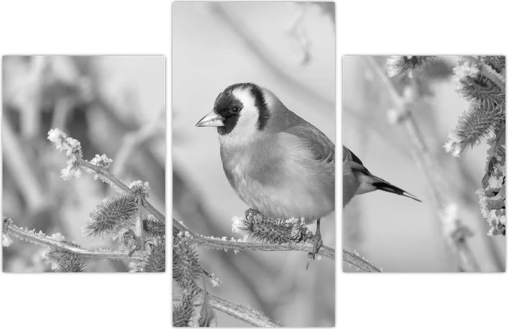 Tablou - O pasăre în timpul iernii (90x60 cm)