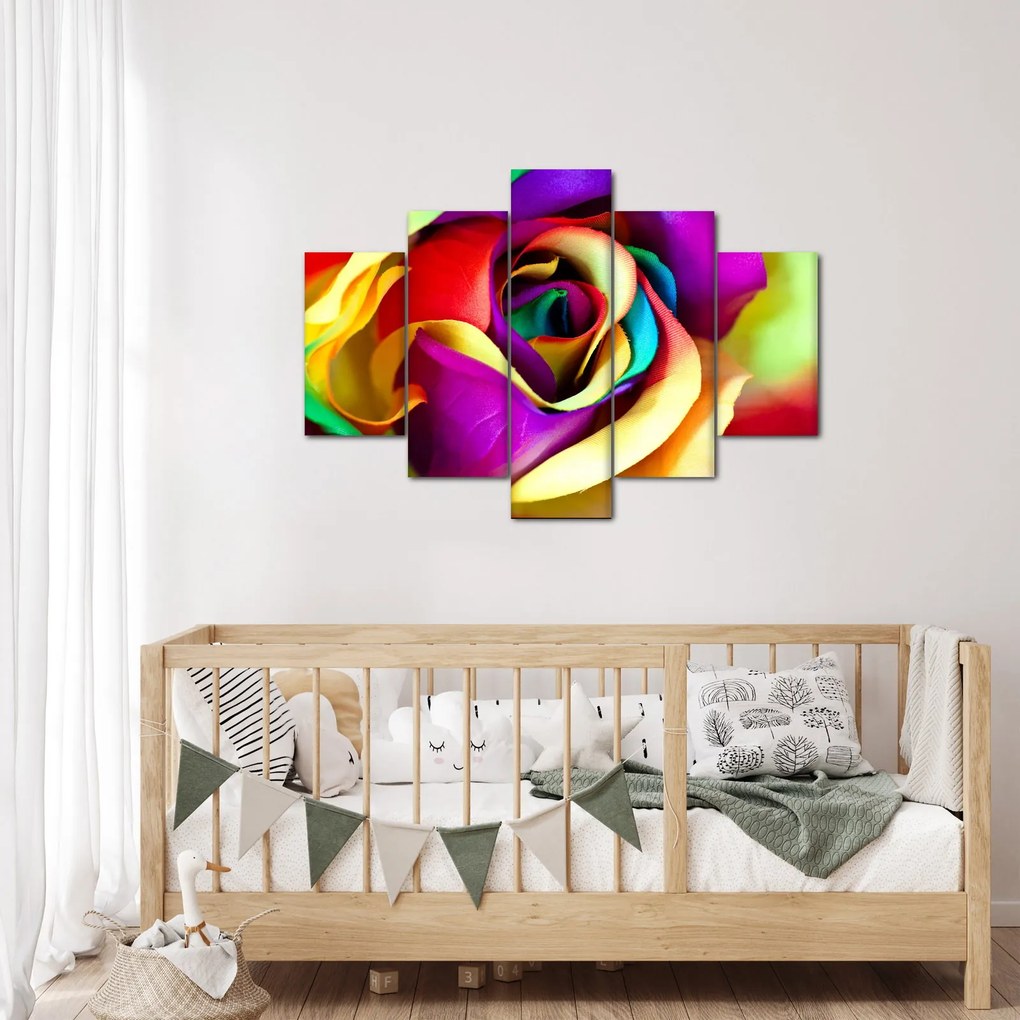 Tablou - Trandafir colorat (150x105 cm)