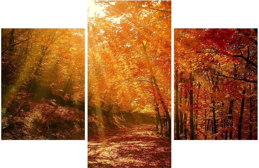 Tablou cu pădurea în toamnă (90x60 cm)