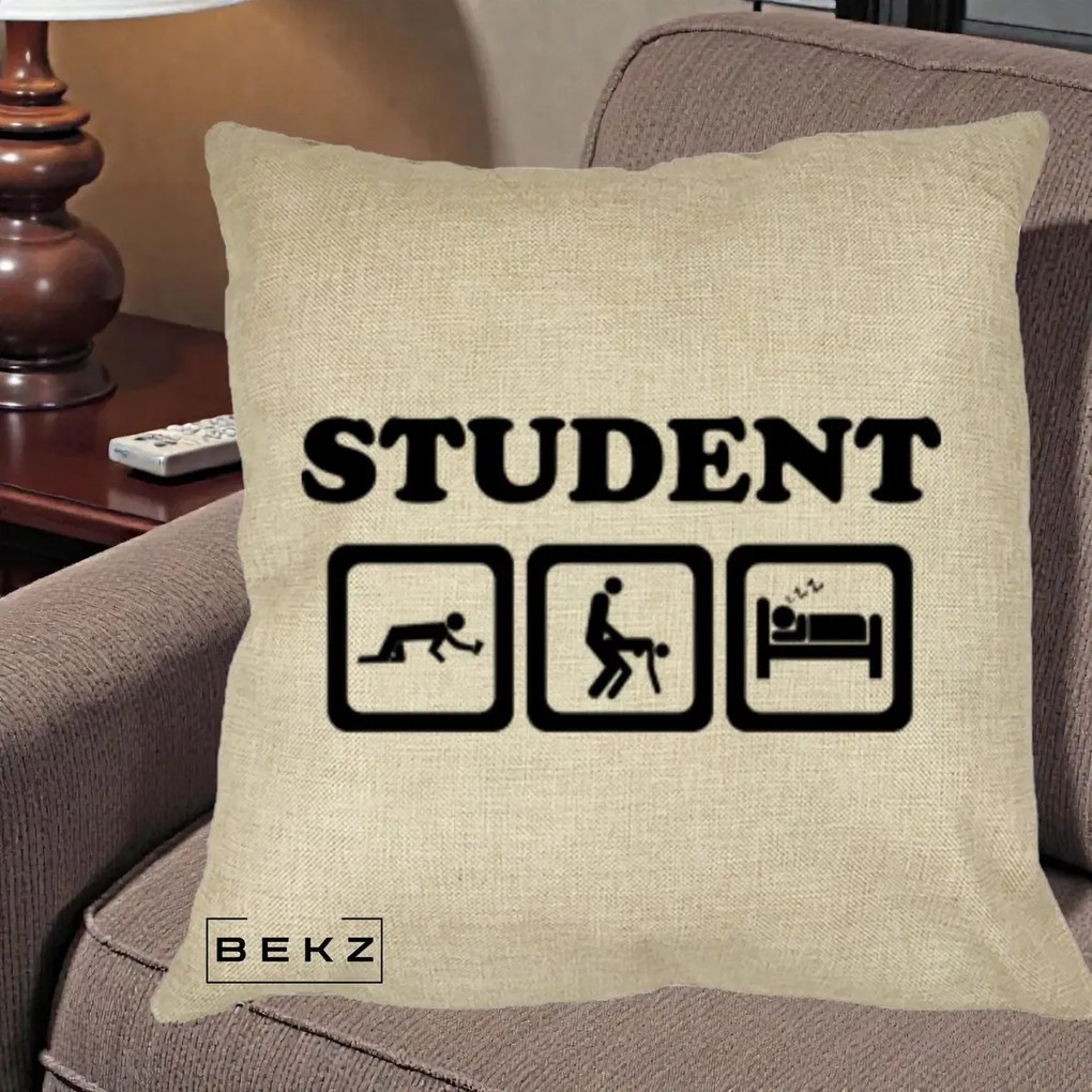 Perna Decorativa Student Life, 40x40 cm, Crem, Husa Detasabila, Perna Inclusa, BEKZ®