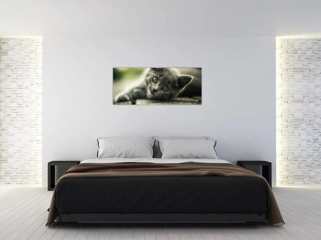 Tablou cu pisicuța (120x50 cm)