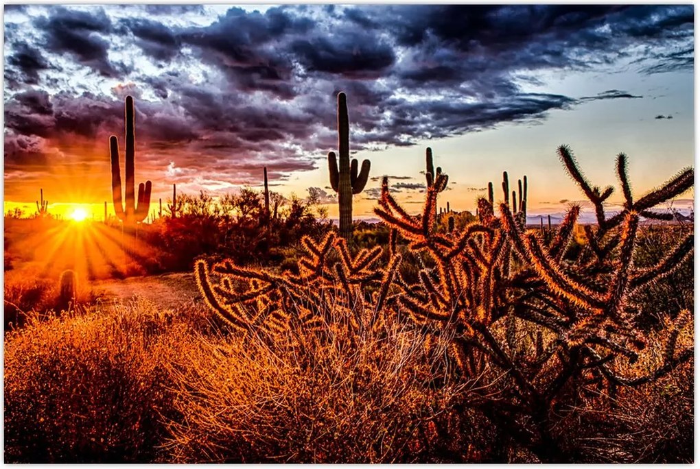 Tablou - Ora aurie a deșertului (90x60 cm)