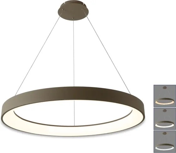 BRILAGI - lustră LED dimabilă pe cablu FALCON II LED/108W/230V Ø 80 cm bej + telecomandă