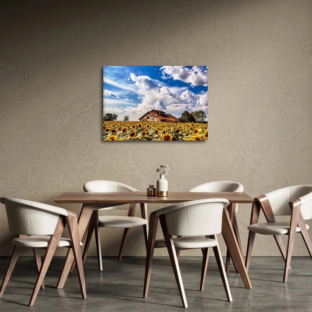 Tablou cu câmp de floarea soarelui (70x50 cm)