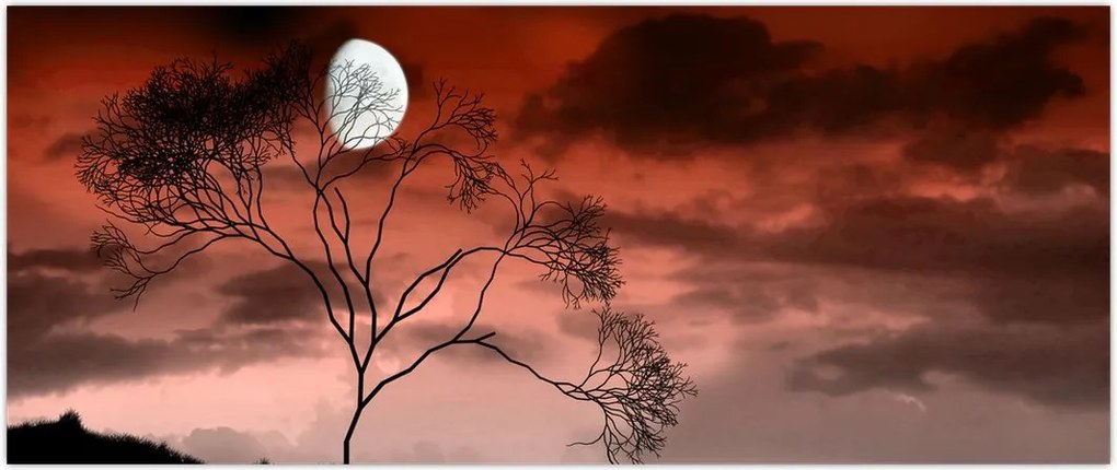 Tablou - Luna luminează noaptea (120x50 cm)