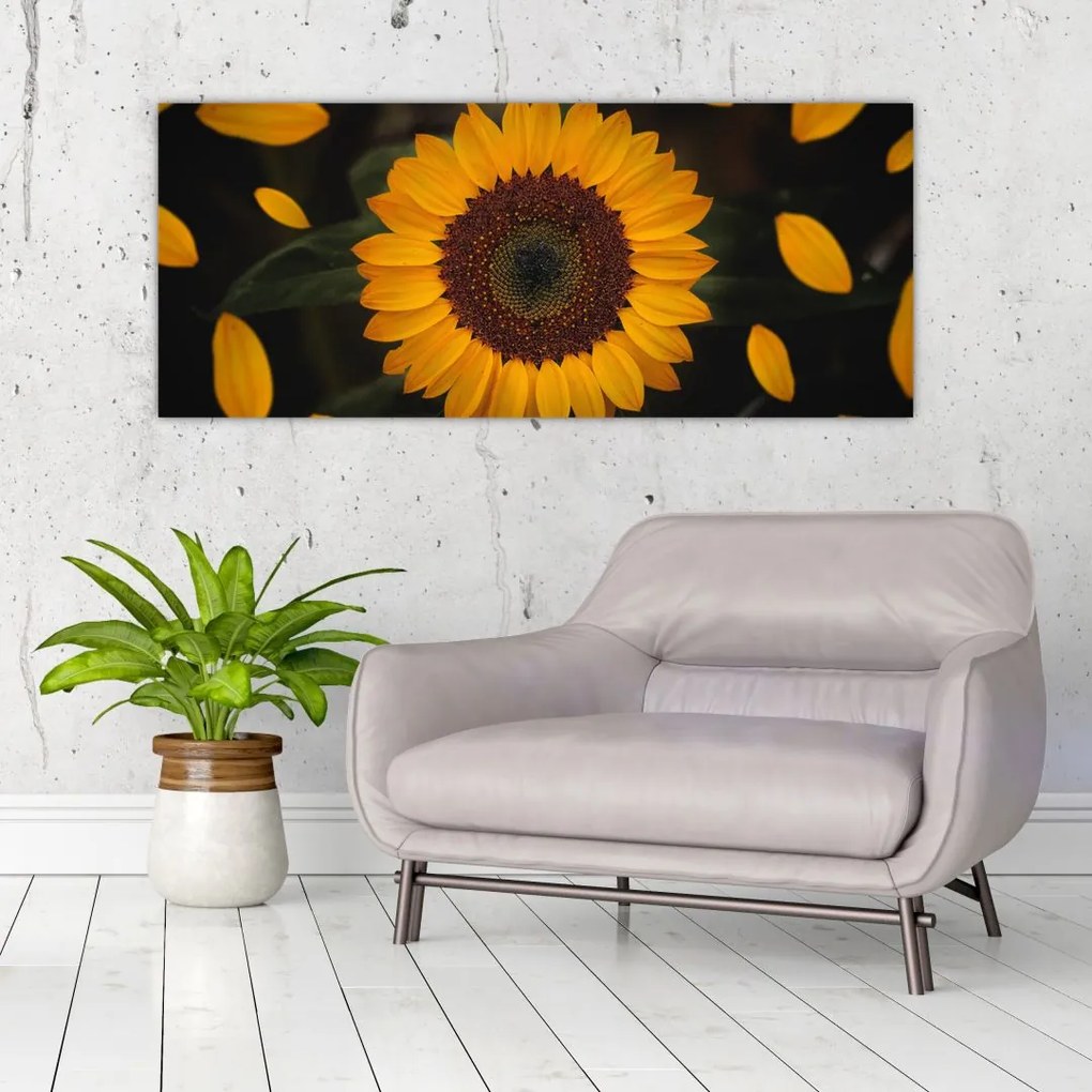 Tablou - Floarea soarelui și petale (120x50 cm)