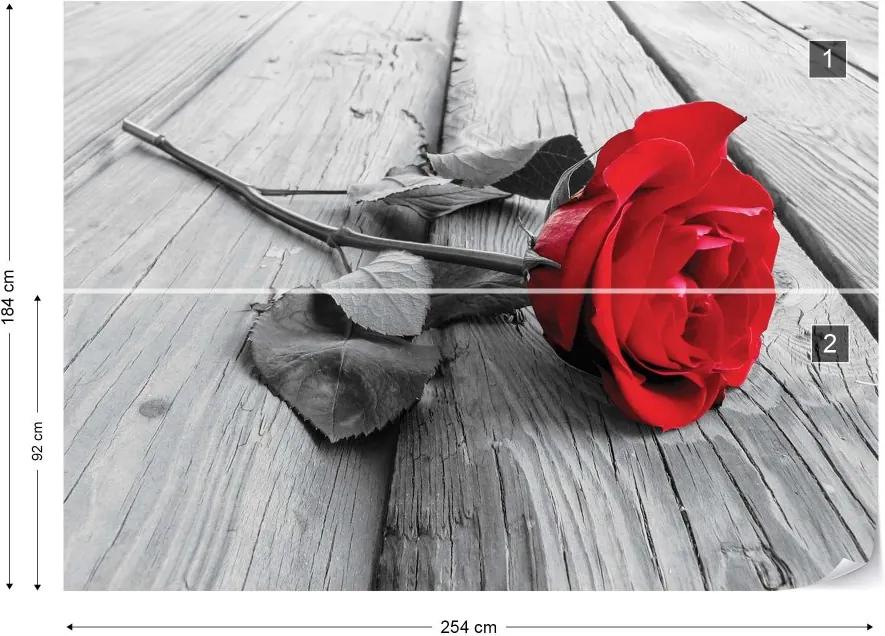 GLIX Fototapet - Red Rose Black And White Vliesová tapeta  - 254x184 cm