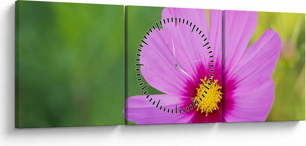 Tablou - floare de câmp (cu ceas) (90x30 cm)