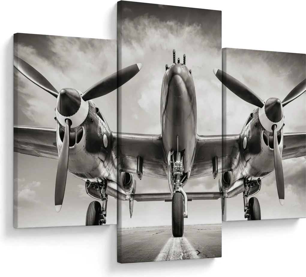 Tablou - Warbird (90x60 cm)
