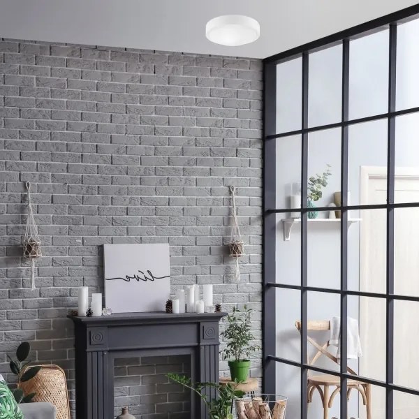 Plafonieră JONAS 1xE27/60W/230V d. 26 cm albă