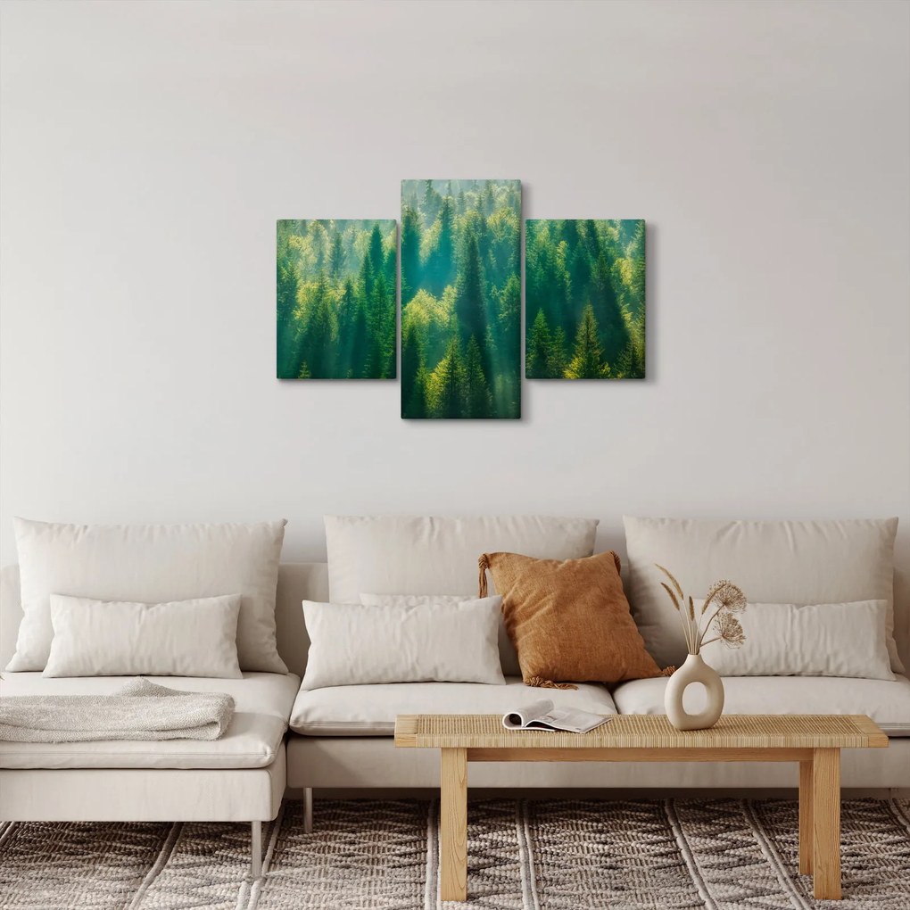 Tablou - Pădurea de brazi (90x60 cm)