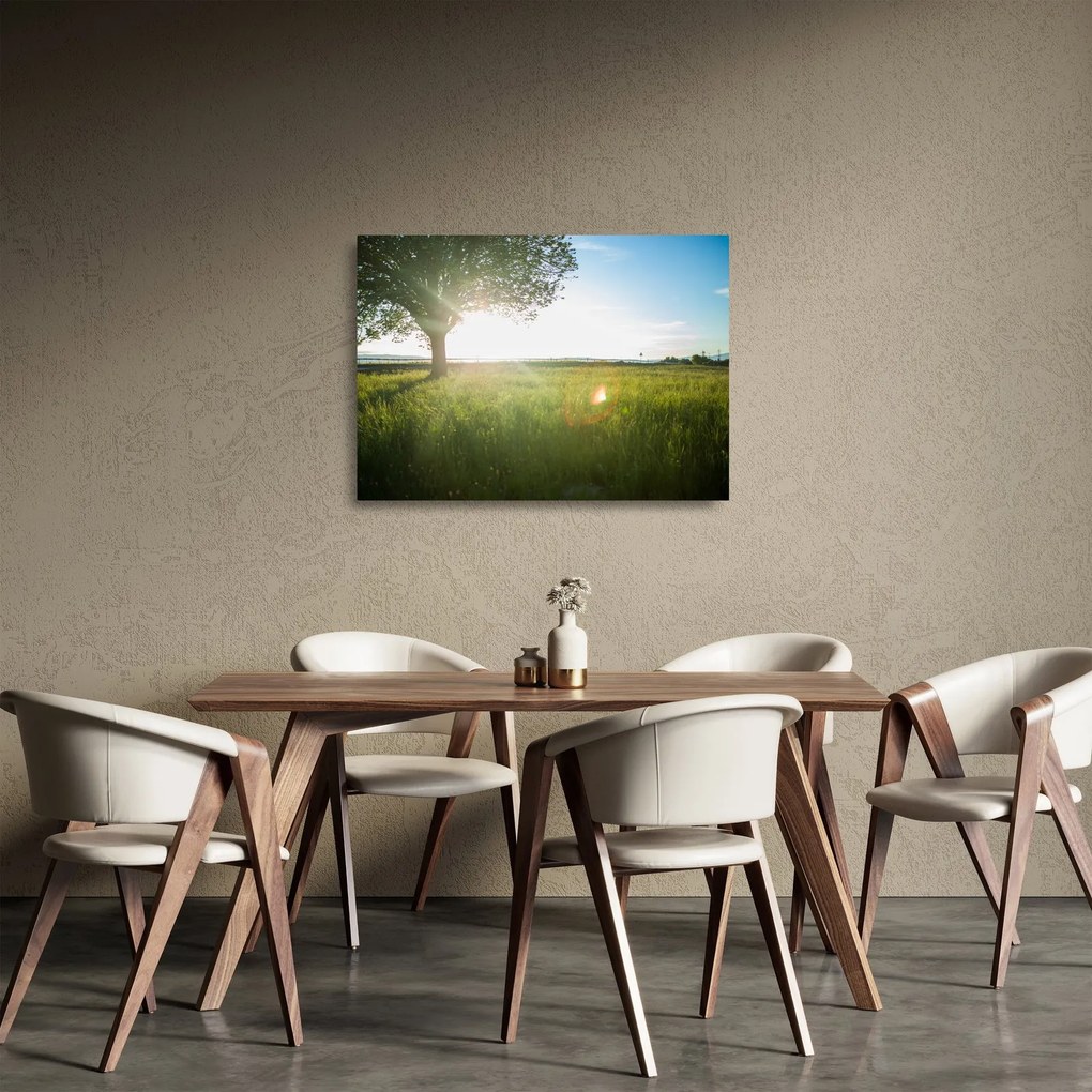 Tablou pe sticlă - Copac în câmp (70x50 cm)