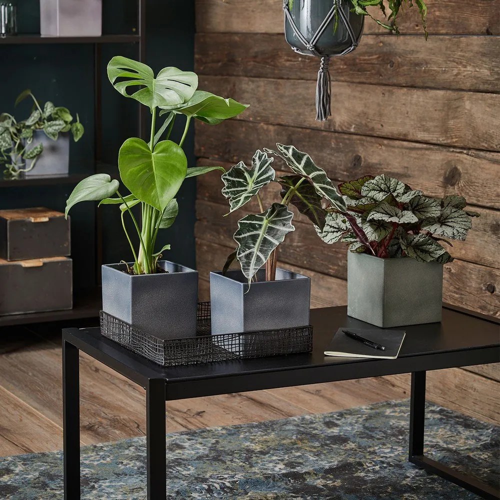 Ghiveci din ceramică Big pots Latina, 15 x 15 cm, violet