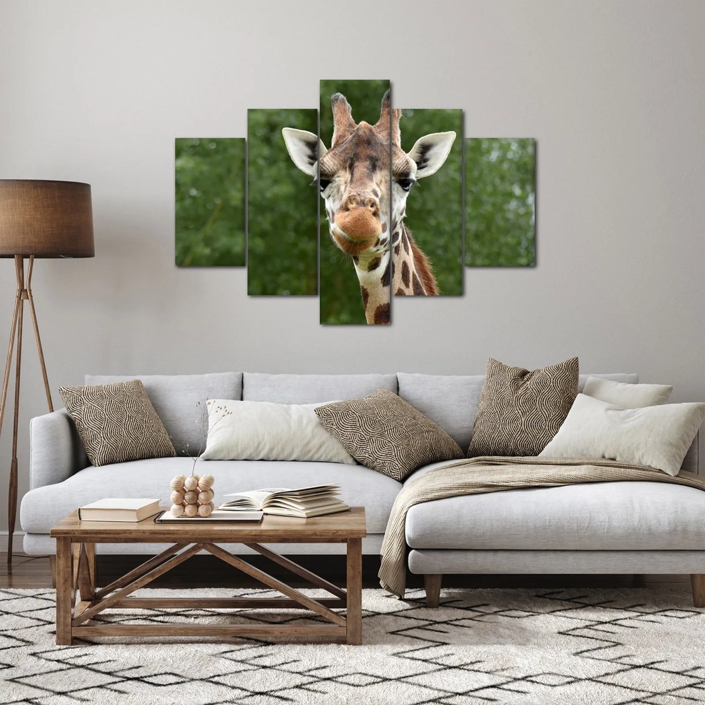 Tablou cu girafa (150x105 cm)