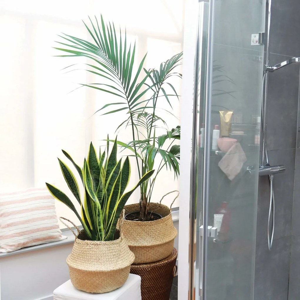 Coș de depozitare Compactor tricotat din iarbă demare Belly, 35 x 32 cm, natural, M