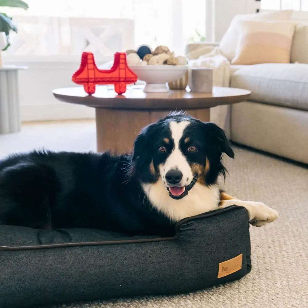 Pat pentru animale de companie albastru închis pentru câini 100x75 cm Lounge Bed Denim Medieval Blue / Dark Chocolate L – P.L.A.Y.