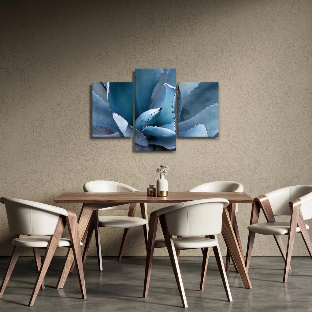 Tablou - Agave (90x60 cm)