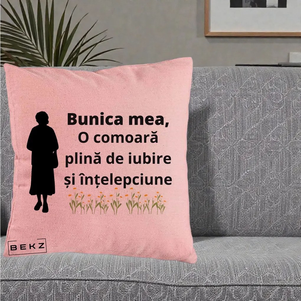 Cadou pentru Bunica - Perna Personalizata Bunica Mea Comoara Iubire Intelepciune Silueta cu Nepoata, 40x40 cm, Roz, Husa Detasabila, Perna Inclusa, BEKZ®