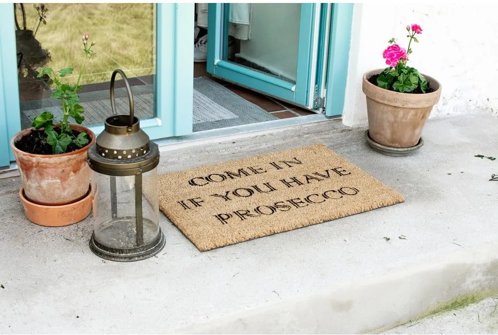 Covoraș intrare din fibre de cocos Artsy Doormats Prosecco, 40 x 60 cm