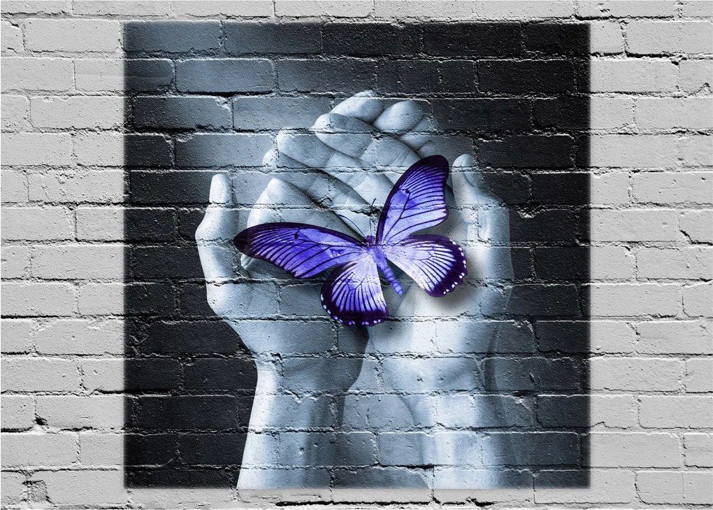 Tablou pe sticlă - Fluture violet pe perete (70x50 cm)
