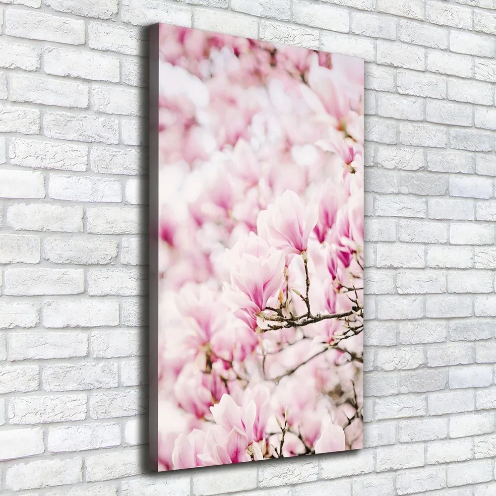 Tablouri tipărite pe pânză Flori magnolia
