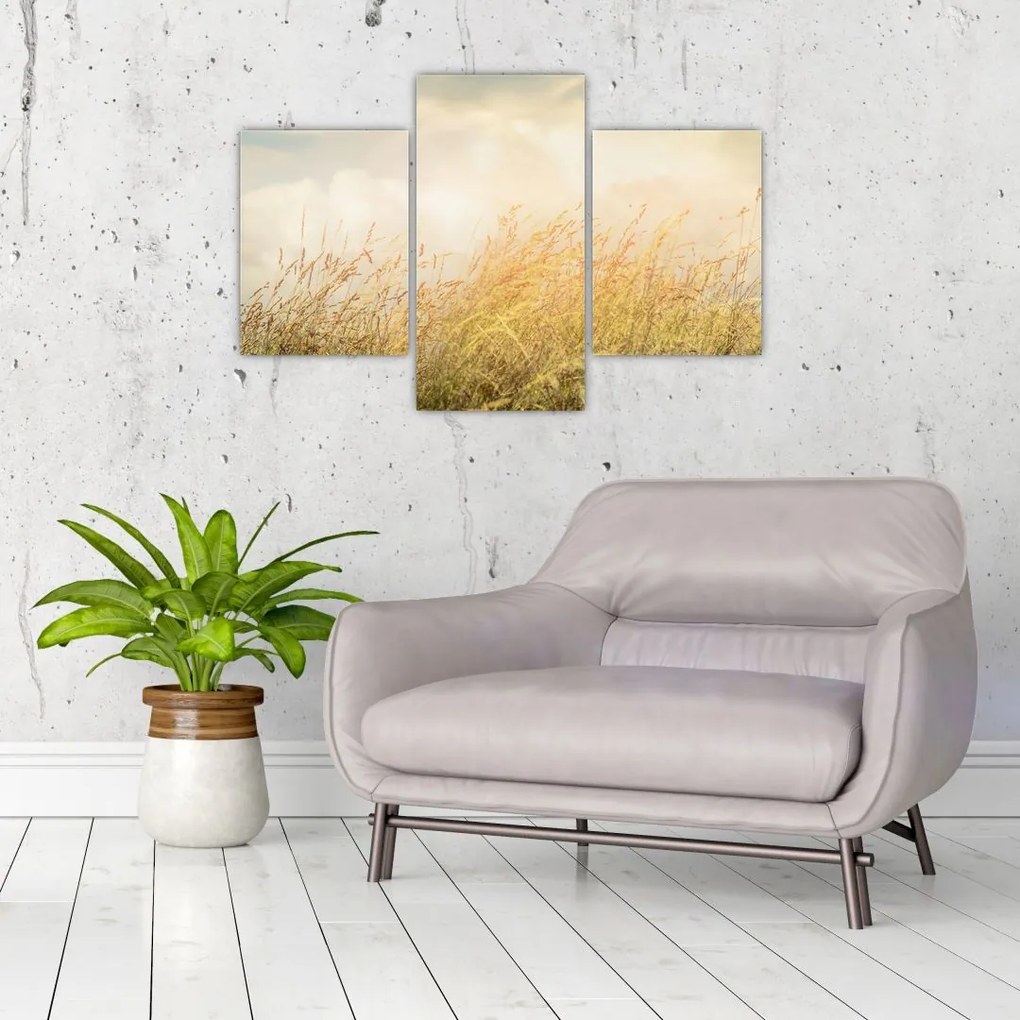 Tablou - Câmp toamna (90x60 cm)