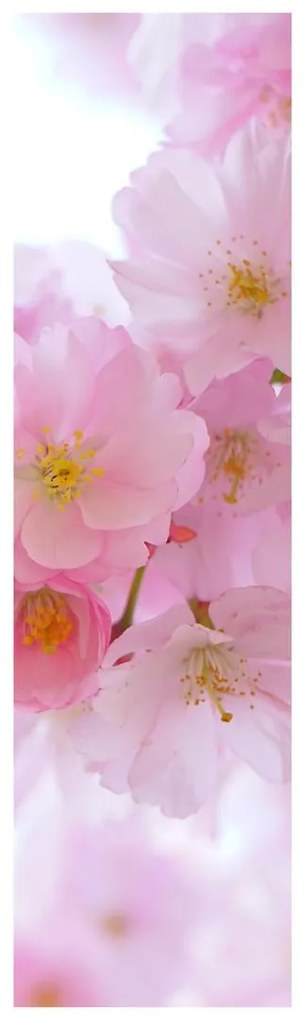 Fotojaluzele R014854R42150 (42x150 cm)