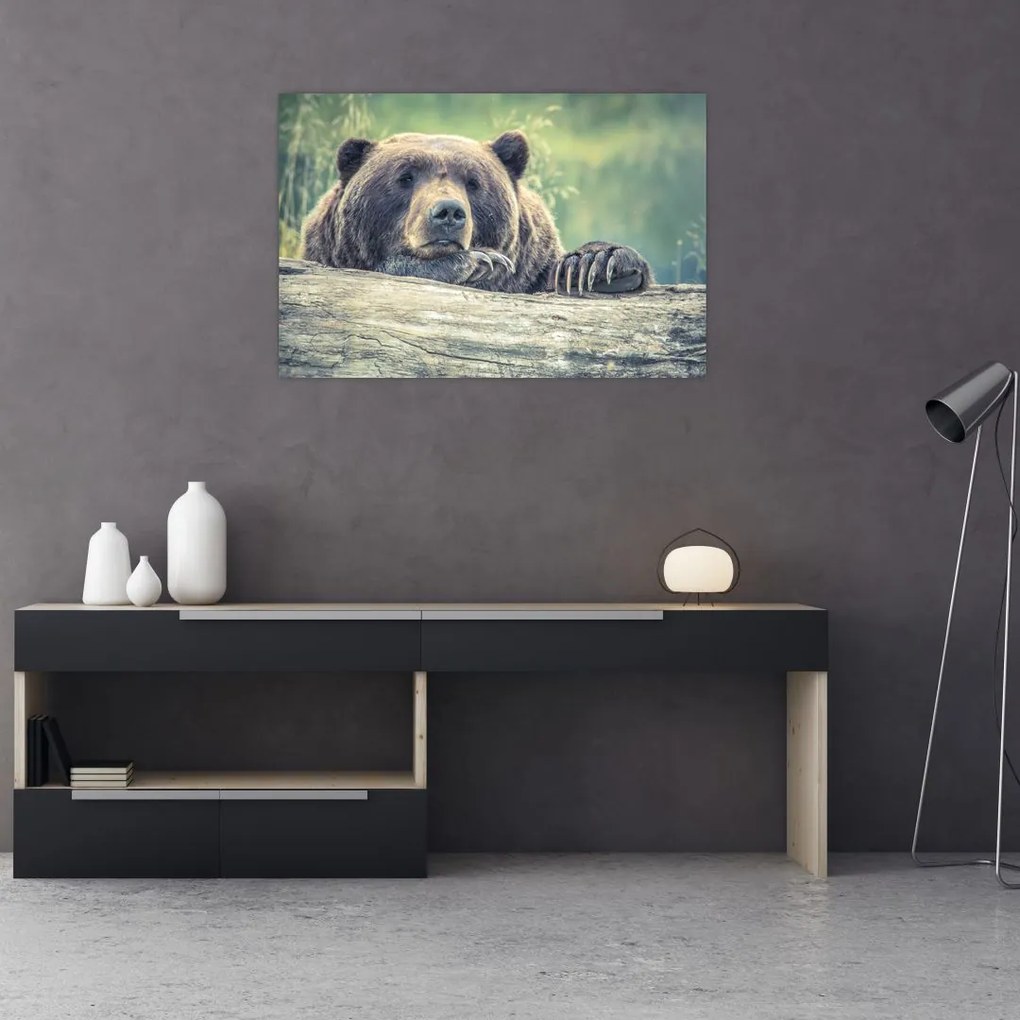 Tablou cu urs (90x60 cm)