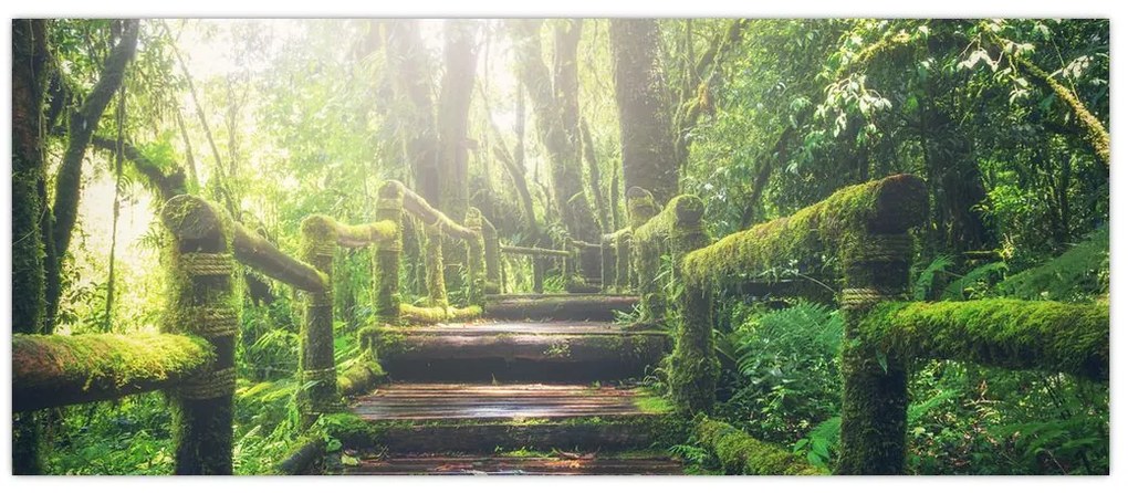 Tablou - trepte din lemn în pădure (120x50 cm)