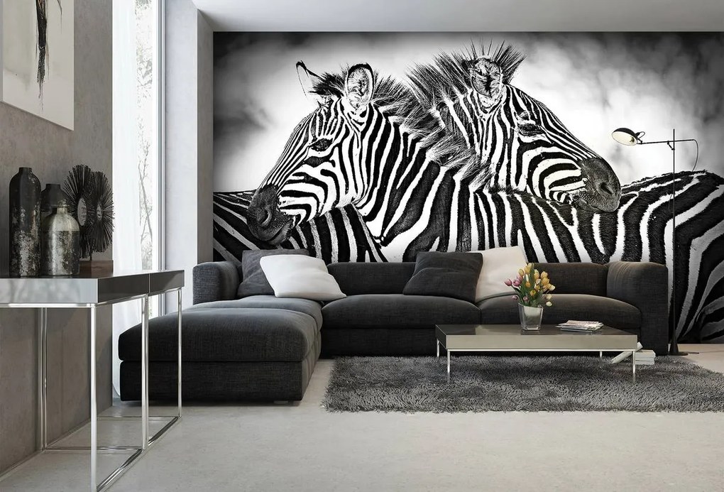 Fototapet - Zebra (254x184 cm)