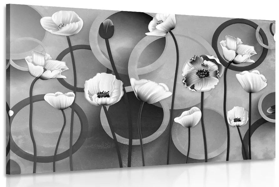 Tablou maci pe un fundal abstract în design alb-negru