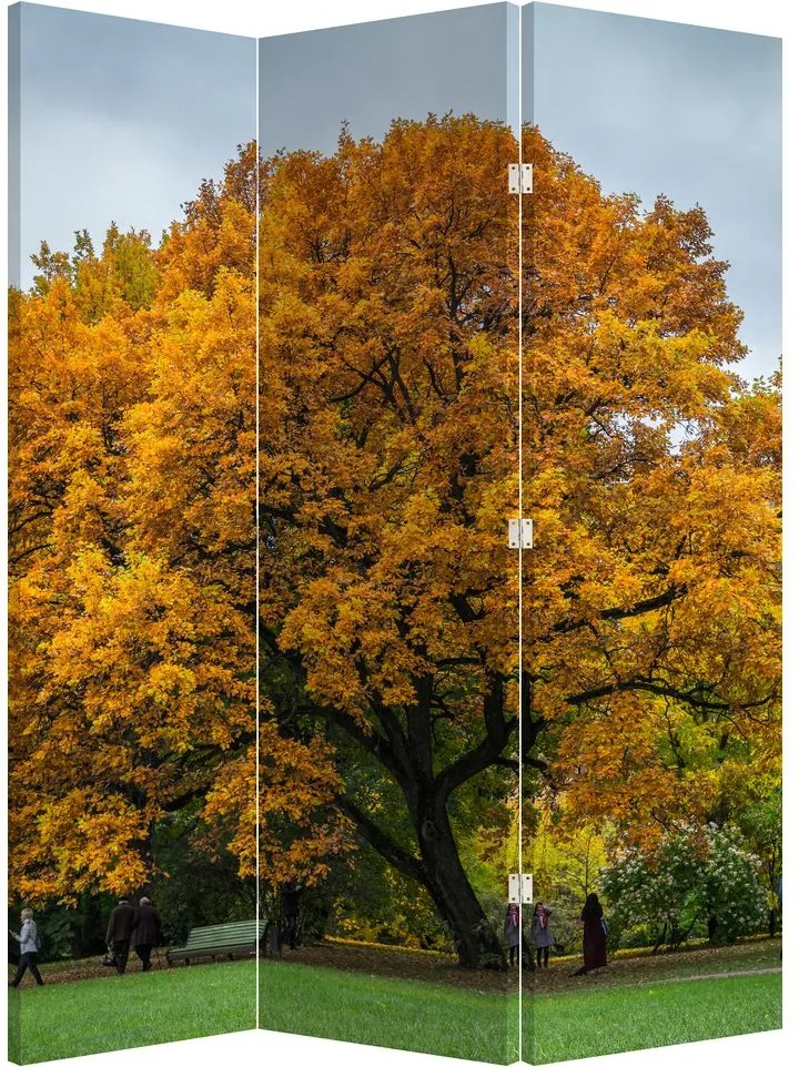 Paravan - Copac (126x170 cm)