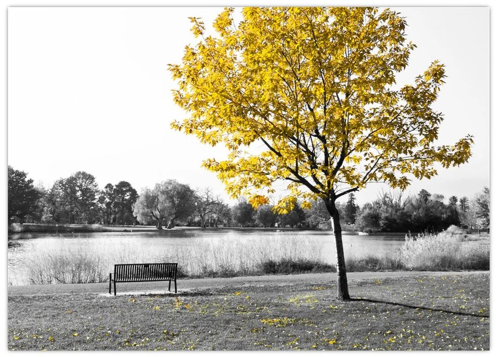 Tablou pe sticlă - relaxare în parc (70x50 cm)