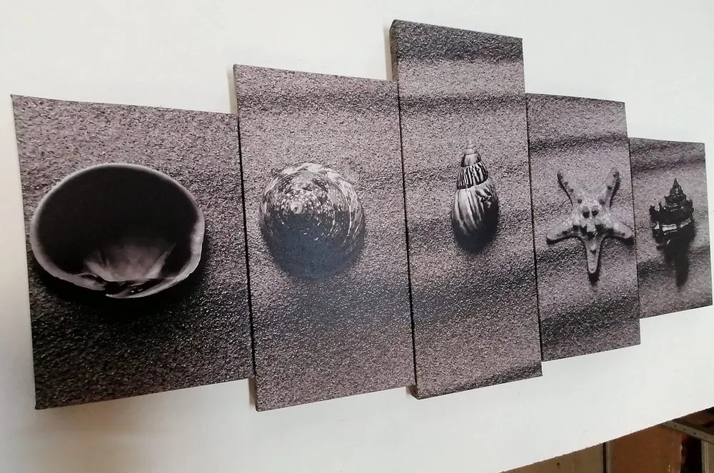Tablou 5-piesei scoici pe o plajă cu nisip în design alb-negru