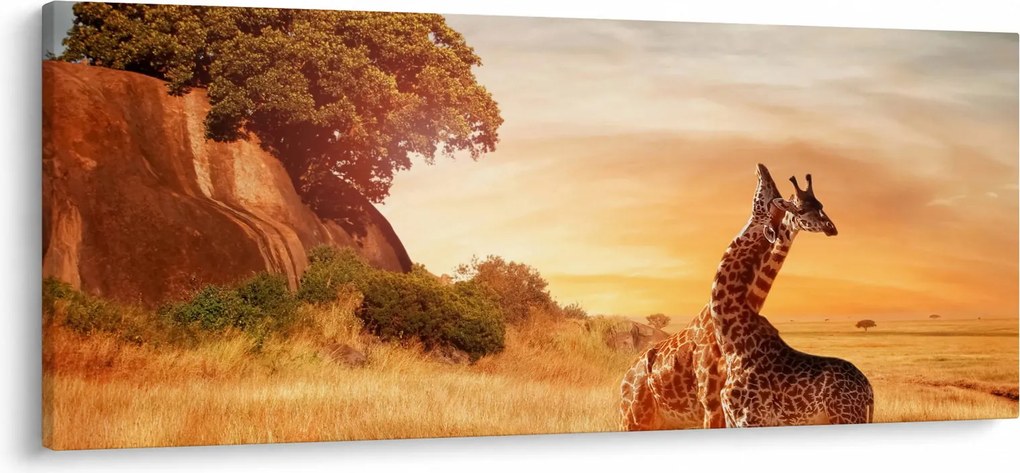 Tablou Girafe în Africa (120x50 cm)